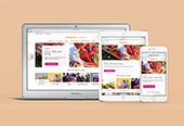SAINSBURYS.CO.UK
